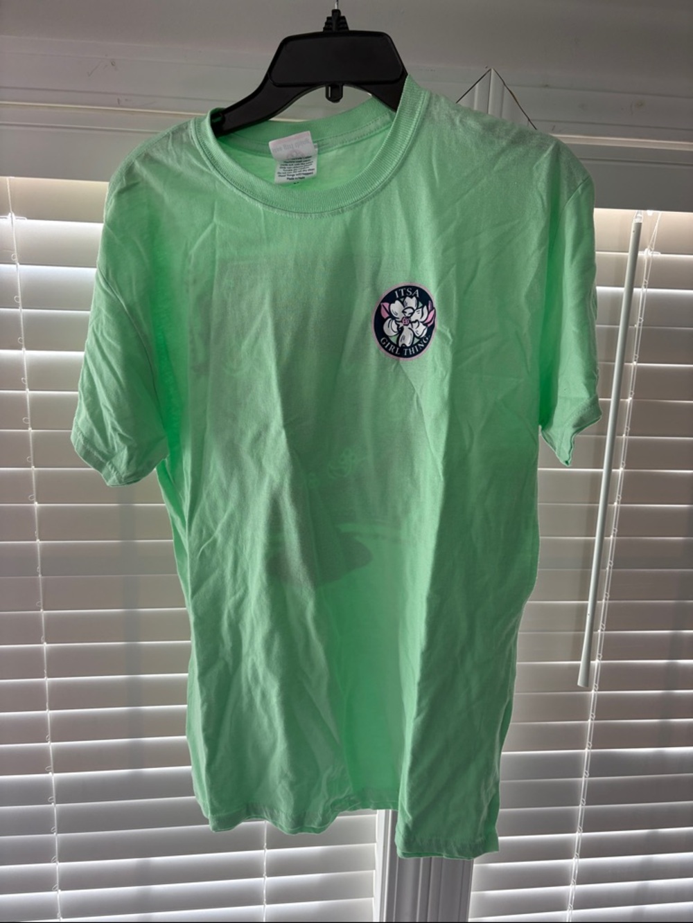 Comfort Colors Mint Green Short Sleeve Tee with Small Chest Graphic